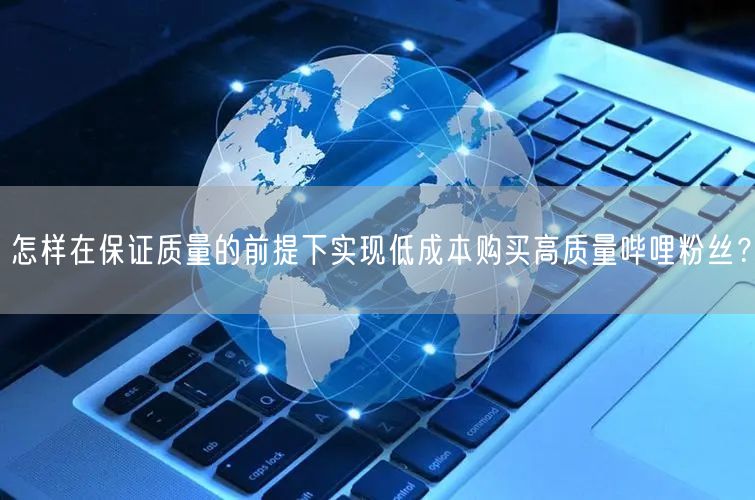 怎样在保证质量的前提下实现低成本购买高质量哔哩粉丝？