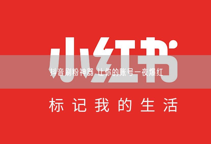 抖音刷粉神器 让你的账号一夜爆红
